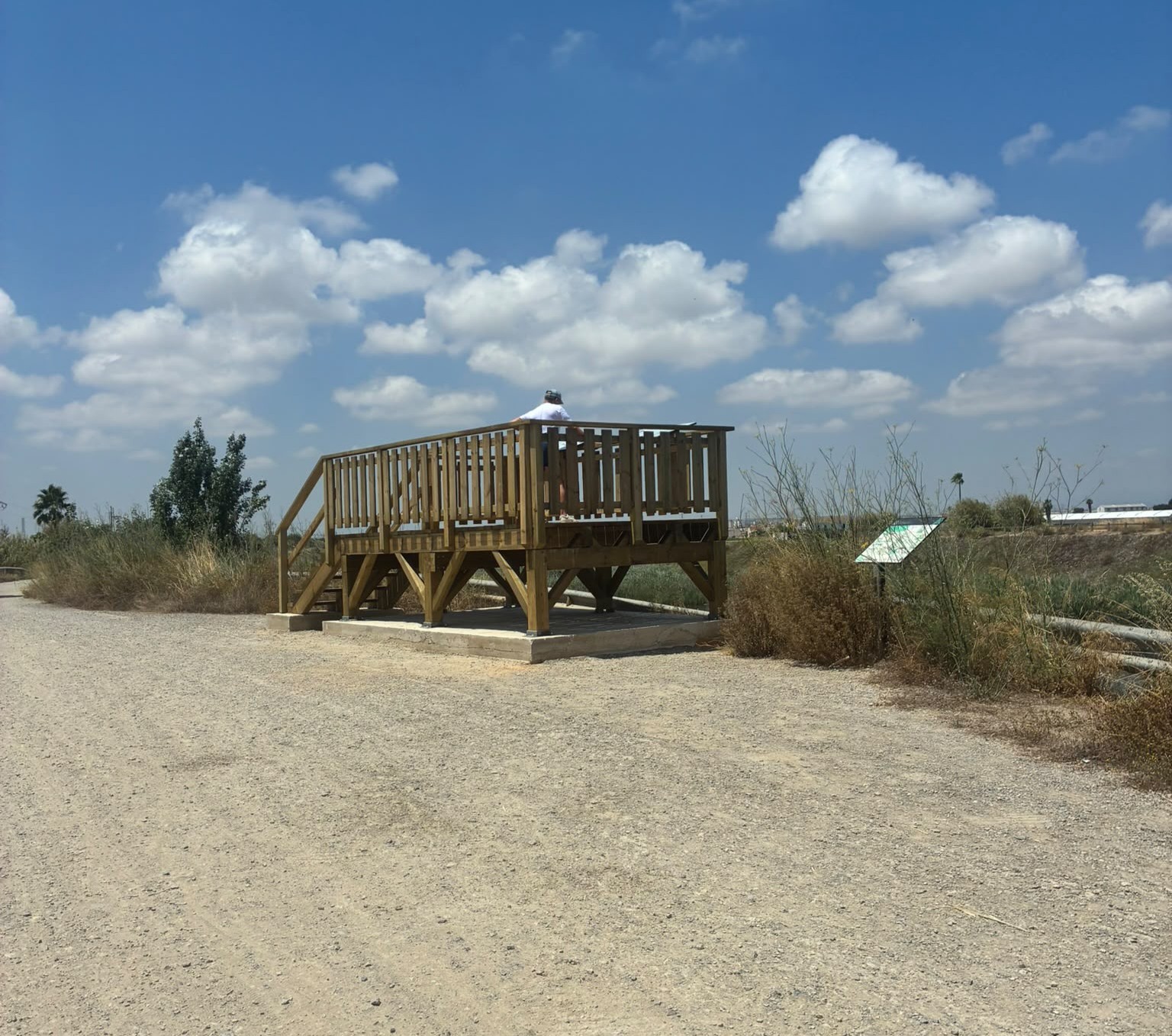 Alboraya estrena un nuevo observatorio de aves en el Barranco del Carraixet para potenciar el turismo de naturaleza 3 HM3z0FtXcAEOl W