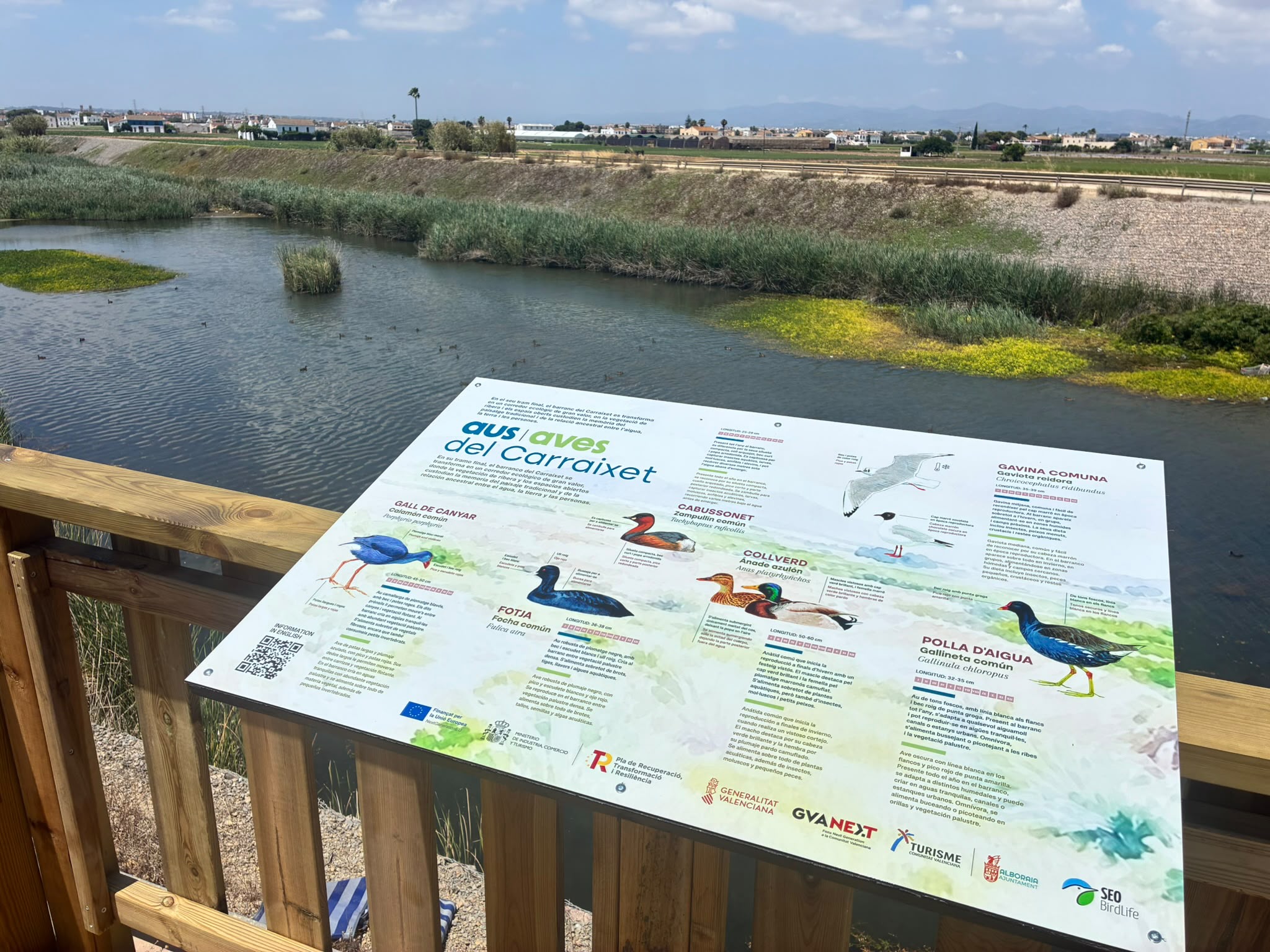 Alboraya estrena un nuevo observatorio de aves en el Barranco del Carraixet para potenciar el turismo de naturaleza 2 HM3z0FtXkAABg8t