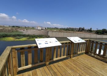 Alboraya estrena un nuevo observatorio de aves en el Barranco del Carraixet para potenciar el turismo de naturaleza 16 Alboraya estrena un nuevo observatorio de aves en el Barranco del Carraixet para potenciar el turismo de naturaleza
