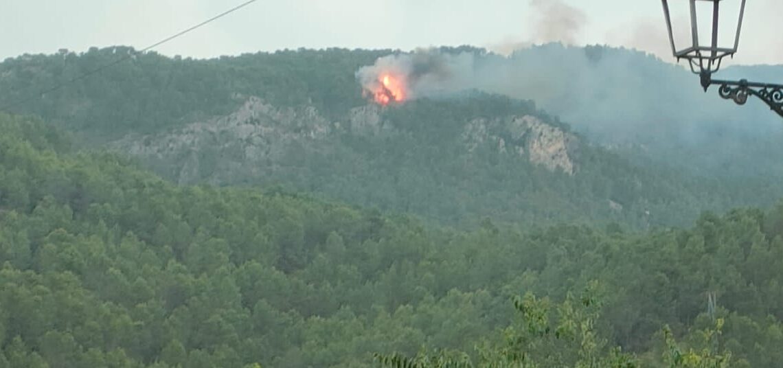 Alerta en la CV: hasta 5 incendios forestales detectados esta tarde 1 Alerta en la CV: hasta 5 incendios forestales detectados esta tarde
