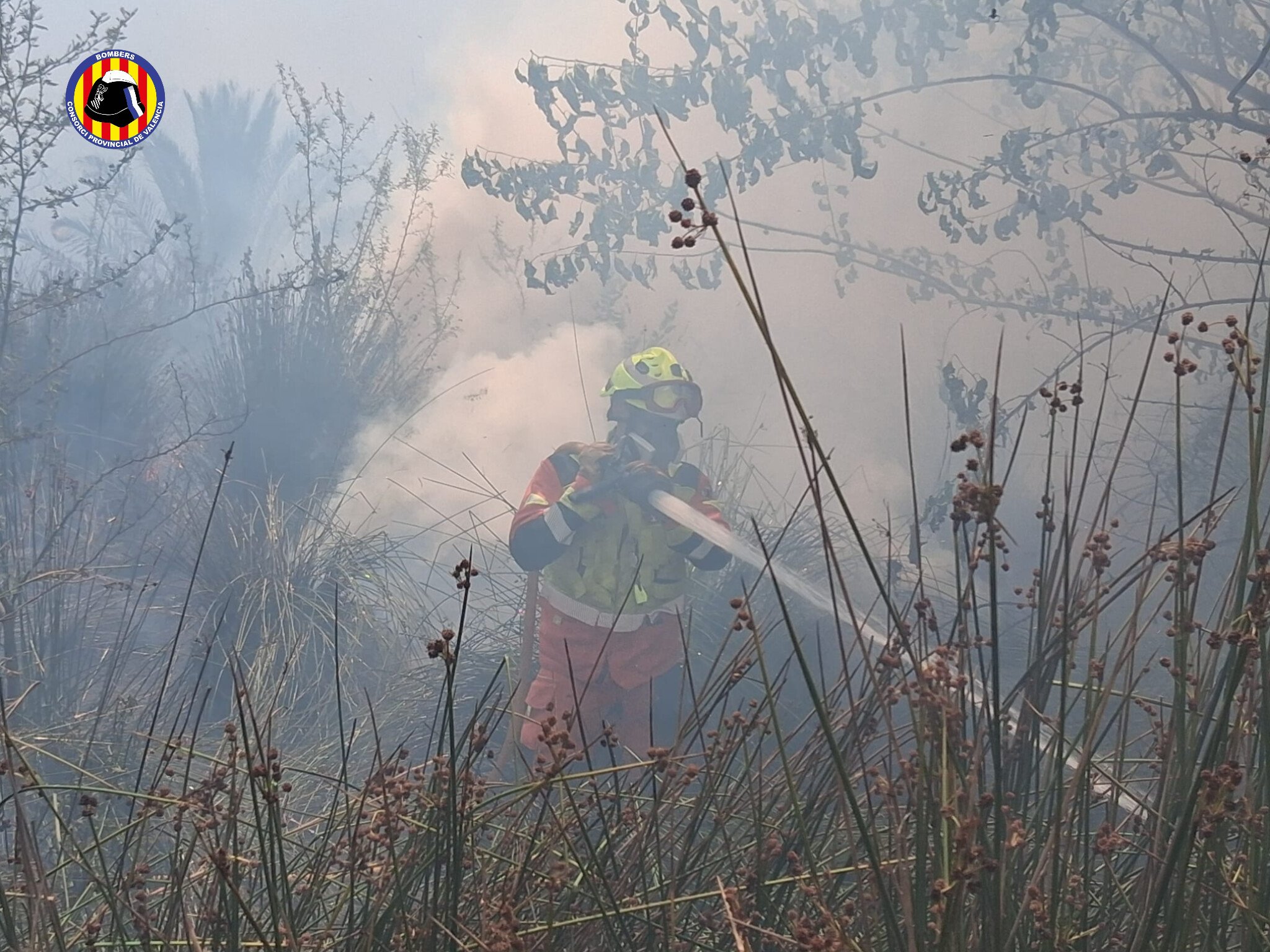 Un incendio arrasa el paraje de la desembocadura del río Palància en Sagunt 2 HMPXGVLWkAAk3CO