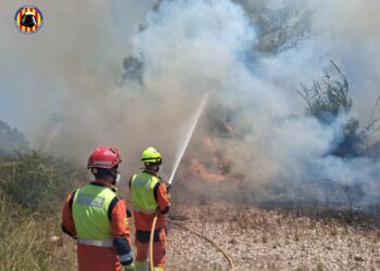 El fuego, originado a primera hora de la mañana, movilizó a un amplio dispositivo de medios terrestres y aéreos antes de ser extinguido a última hora de la tarde