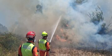 El fuego, originado a primera hora de la mañana, movilizó a un amplio dispositivo de medios terrestres y aéreos antes de ser extinguido a última hora de la tarde