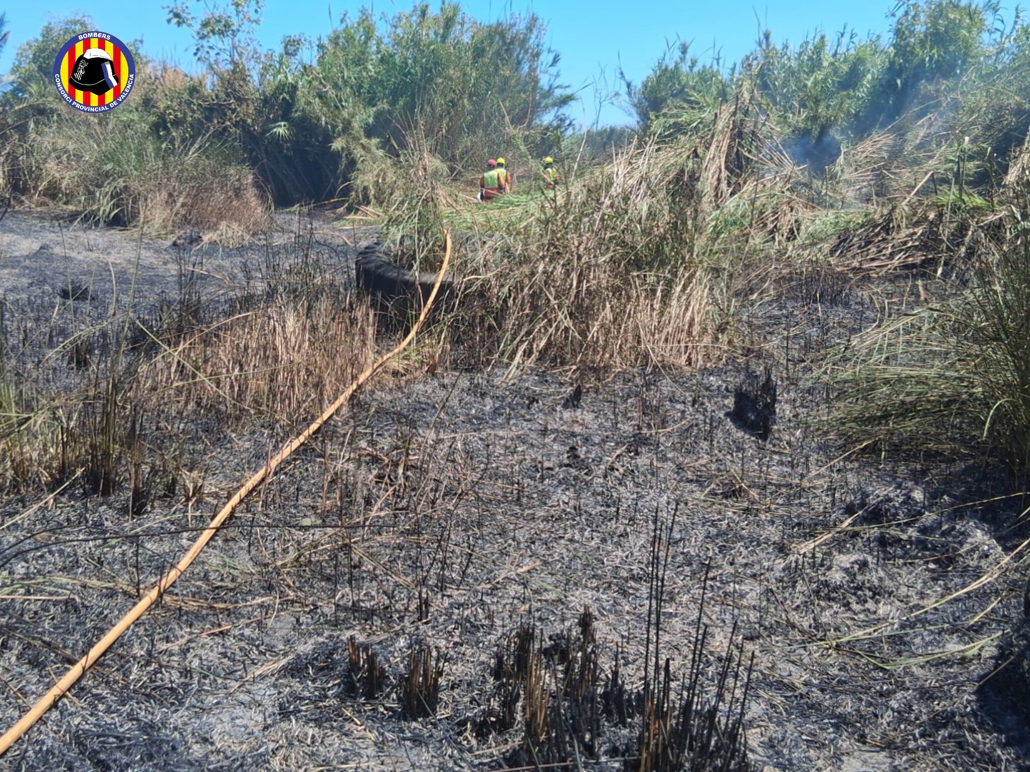 Un incendio arrasa el paraje de la desembocadura del río Palància en Sagunt 3 HMPXGVNXoAAr ws