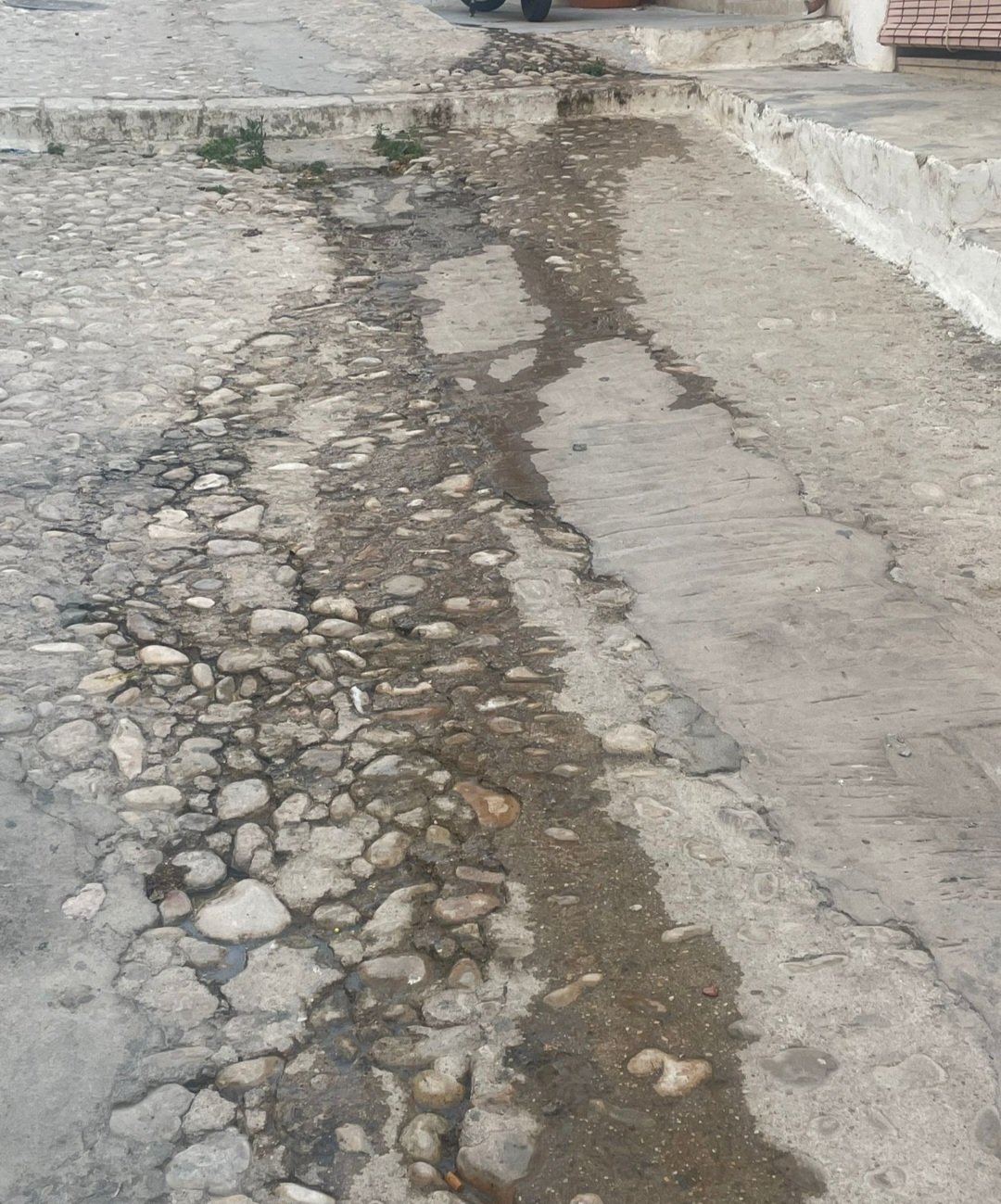 Vecinos del casco antiguo de Xàtiva denuncian una crisis sanitaria por filtraciones de aguas fecales 2 HMSzyqXWsAATiPh