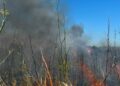 Un incendio de vegetación en Almassora moviliza a los servicios de emergencias y obliga a ampliar el dispositivo 10 Un incendio de vegetación en Almassora moviliza a los servicios de emergencias y obliga a ampliar el dispositivo
