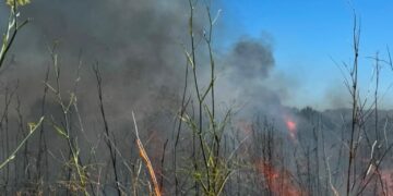 Un incendio de vegetación en Almassora moviliza a los servicios de emergencias y obliga a ampliar el dispositivo