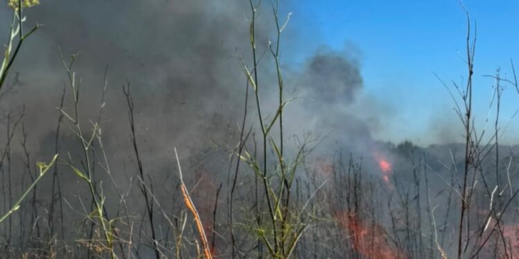 Un incendio de vegetación en Almassora moviliza a los servicios de emergencias y obliga a ampliar el dispositivo 1 Un incendio de vegetación en Almassora moviliza a los servicios de emergencias y obliga a ampliar el dispositivo