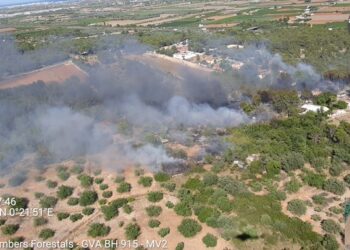 Desalojados varios vecinos de forma preventiva por un incendio forestal en Peñíscola