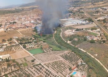 Movilizado un amplio dispositivo frente a un incendio en una vivienda en Sax cercano a una zona forestal 14 Movilizado un amplio dispositivo frente a un incendio en una vivienda en Sax cercano a una zona forestal