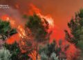 Emergencia en Castellón: El incendio de Soneja avanza sin control hacia la Serra d'Espadà con una "virulencia inusitada" 10 Castellón: El incendio de Soneja avanza sin control hacia la Serra d'Espadà con una "virulencia inusitada"