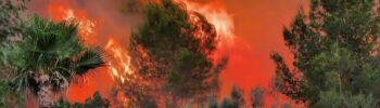 Castellón: El incendio de Soneja avanza sin control hacia la Serra d'Espadà con una "virulencia inusitada"
