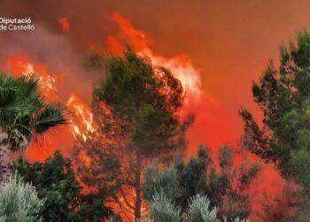 Emergencia en Castellón: El incendio de Soneja avanza sin control hacia la Serra d'Espadà con una "virulencia inusitada" 14 Castellón: El incendio de Soneja avanza sin control hacia la Serra d'Espadà con una "virulencia inusitada"