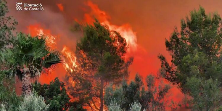 Castellón: El incendio de Soneja avanza sin control hacia la Serra d'Espadà con una "virulencia inusitada"