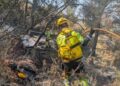 El Incendio de Soneja ya ha calcinado 183 hectáreas y encara sus horas más complicadas
