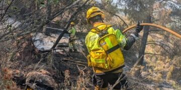 El Incendio de Soneja ya ha calcinado 183 hectáreas y encara sus horas más complicadas