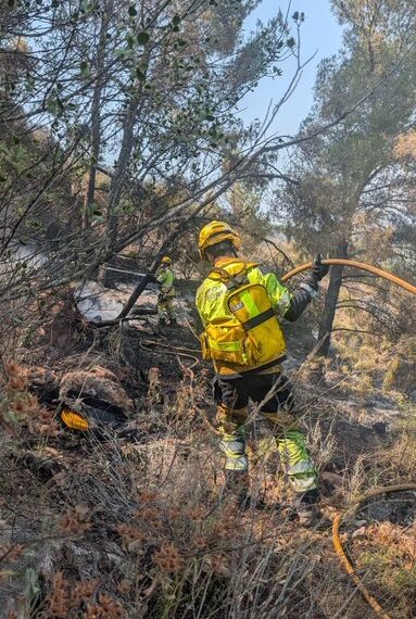 El Incendio de Soneja ya ha calcinado 183 hectáreas y encara sus horas más complicadas