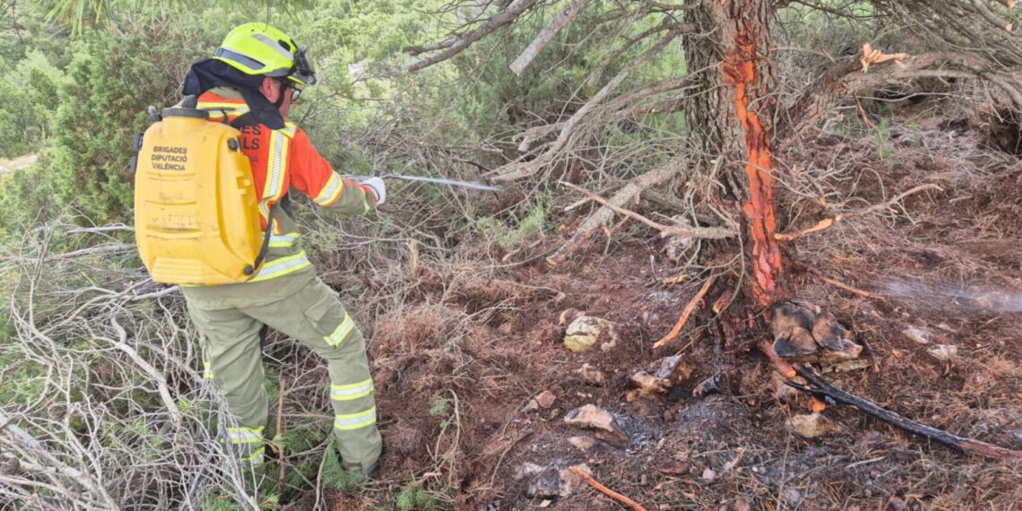 La ola de calor y las tormentas eléctricas saturan a los bomberos en Valencia con 25 incendios en un solo día 1 La ola de calor y las tormentas eléctricas saturan a los bomberos en Valencia con 25 incendios en un solo día
