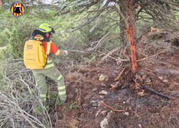 La ola de calor y las tormentas eléctricas saturan a los bomberos en Valencia con 25 incendios en un solo día 15 La ola de calor y las tormentas eléctricas saturan a los bomberos en Valencia con 25 incendios en un solo día