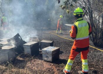 Movilizados diversos medios aéreos y terrestres por dos incendios de vegetación en Villalonga y Villar del Arzobispo