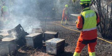 Movilizados diversos medios aéreos y terrestres por dos incendios de vegetación en Villalonga y Villar del Arzobispo