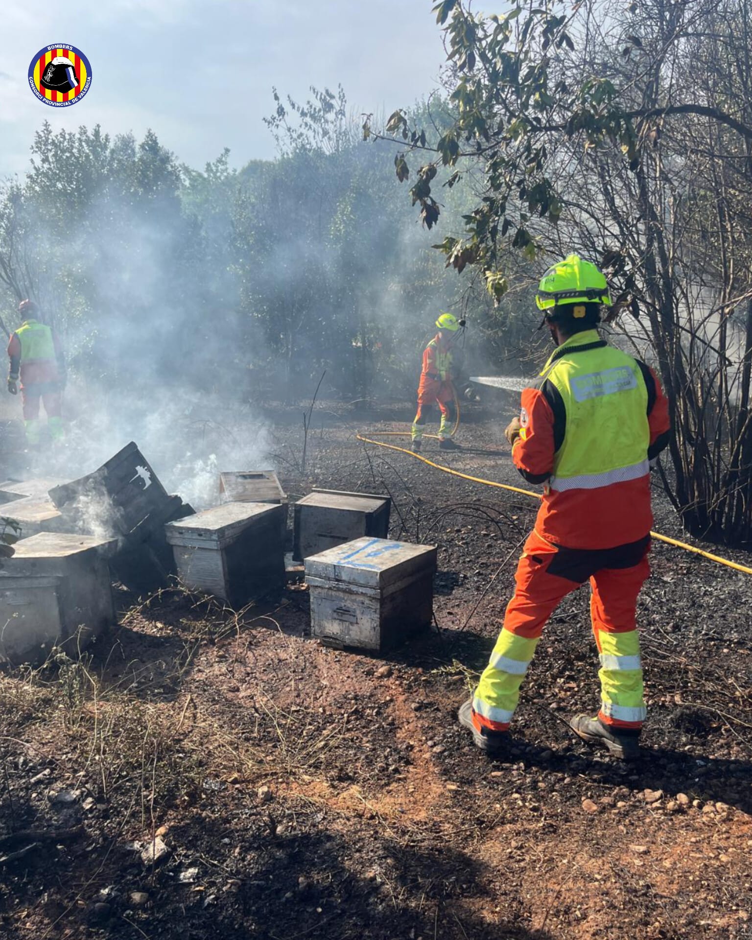 La ola de calor y las tormentas eléctricas saturan a los bomberos en Valencia con 25 incendios en un solo día 2 HMpYV9kWYAAPcsG