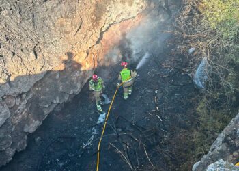 La proliferación de incendios de vegetación reaviva el debate sobre el abandono del monte en la Comunitat Valenciana 14 La proliferación de incendios de vegetación reaviva el debate sobre el abandono del monte en la Comunitat Valenciana