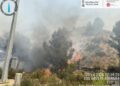 Los bomberos dan por extinguido un conato de incendio forestal registrado en Buñol junto a la autovía 10 Los bomberos dan por extinguido un conato de incendio forestal registrado en Buñol
