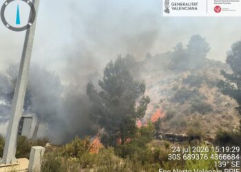Los bomberos dan por extinguido un conato de incendio forestal registrado en Buñol junto a la autovía 14 Los bomberos dan por extinguido un conato de incendio forestal registrado en Buñol