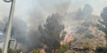 Los bomberos dan por extinguido un conato de incendio forestal registrado en Buñol