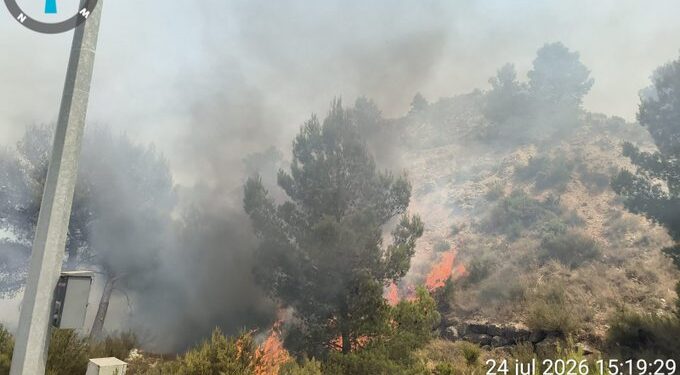 Los bomberos dan por extinguido un conato de incendio forestal registrado en Buñol