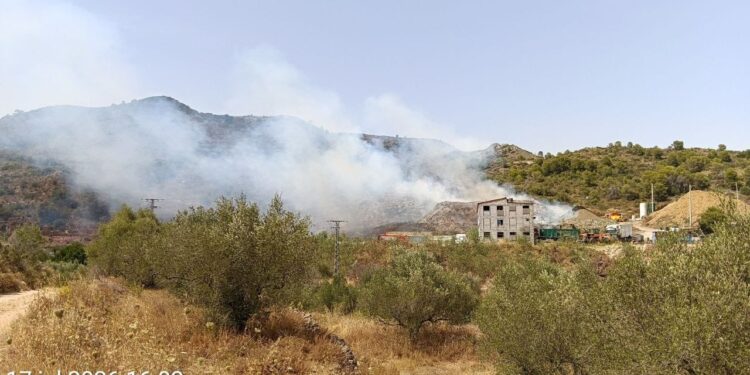 Un incendio originado en una planta de biomasa de Lluchent salta a terreno forestal y moviliza a un amplio dispositivo de emergencias