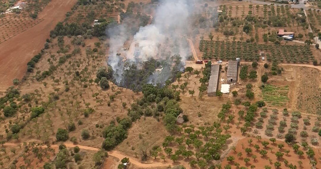 Los bomberos extinguen un incendio de vegetación en Vilafamés tras una rápida intervención 1 Los bomberos extinguen un incendio de vegetación en Vilafamés tras una rápida intervención