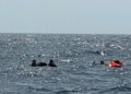 El SPEIS rescata a once personas tras el hundimiento de un catamarán frente a la isla de Tabarca 11 El SPEIS rescata a once personas tras el hundimiento de un catamarán frente a la isla de Tabarca