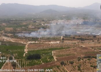 Controlado un incendio de vegetación en Benicolet tras una rápida intervención del dispositivo de emergencias 14 Controlado un incendio de vegetación en Benicolet tras una rápida intervención del dispositivo de emergencias