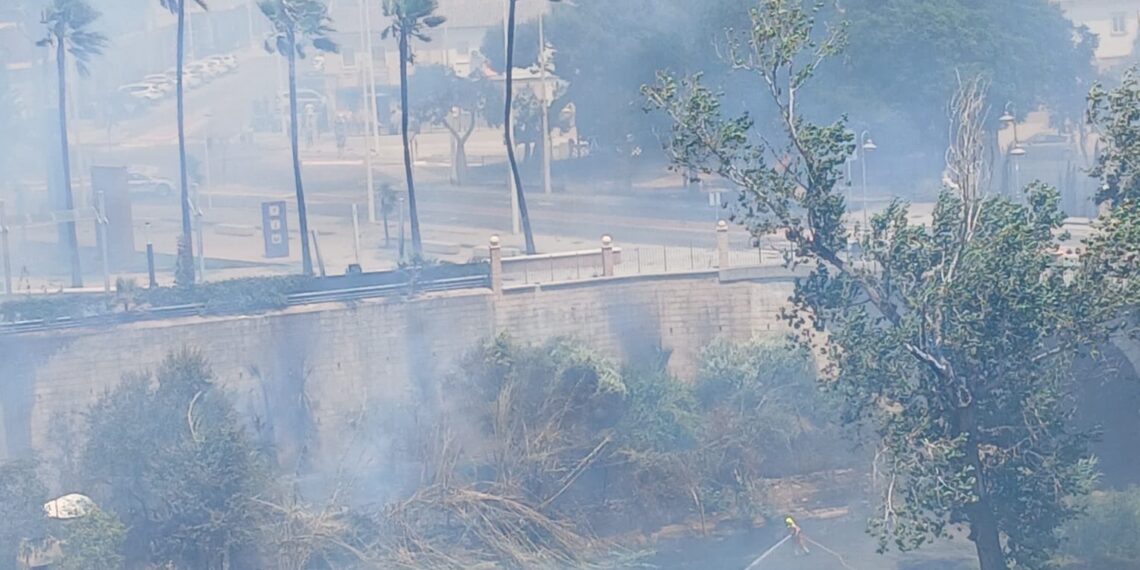 Un fallecido y cinco heridos en el incendio forestal en el barranco del Salt de l'Aigua de Manises