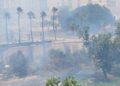 Un fallecido y cinco heridos en el incendio forestal en el barranco del Salt de l'Aigua de Manises