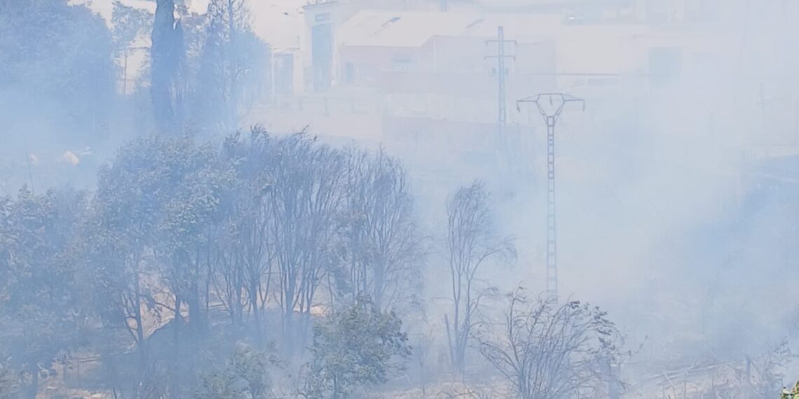 Los Bomberos se emplean a fondo para frenar un incendio forestal cercano a viviendas en Manises