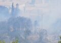 Los Bomberos se emplean a fondo para frenar un incendio forestal cercano a viviendas en Manises 10 Los Bomberos se emplean a fondo para frenar un incendio forestal cercano a viviendas en Manises