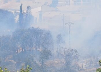 Los Bomberos se emplean a fondo para frenar un incendio forestal cercano a viviendas en Manises 14 Los Bomberos se emplean a fondo para frenar un incendio forestal cercano a viviendas en Manises