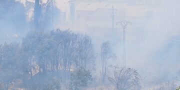 Los Bomberos se emplean a fondo para frenar un incendio forestal cercano a viviendas en Manises