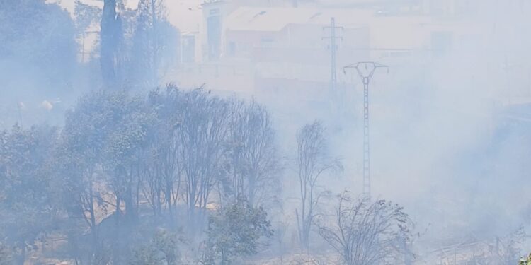 Los Bomberos se emplean a fondo para frenar un incendio forestal cercano a viviendas en Manises 1 Los Bomberos se emplean a fondo para frenar un incendio forestal cercano a viviendas en Manises