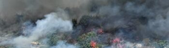 El Ajuntament de Manises confirma un fallecido en el incendio de Salt de l'Aigüa