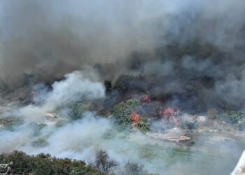 El Ajuntament de Manises confirma un fallecido en el incendio de Salt de l'Aigüa