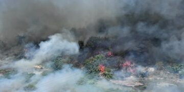 El Ajuntament de Manises confirma un fallecido en el incendio de Salt de l'Aigüa