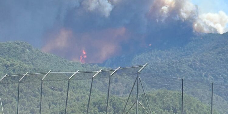 Los vecinos de Artana ya divisan las llamas del Incendio Forestal de La Vall d'Uixó