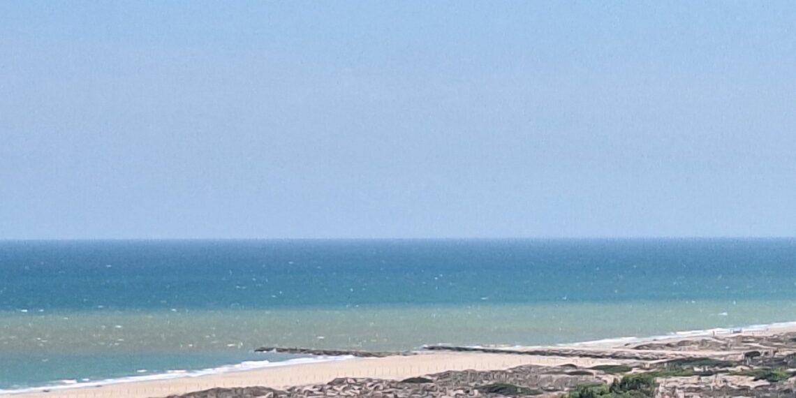 Los vecinos de la Dehesa del Saler denuncian de nuevo vertidos de aguas sin depurar en la Gola de Pujol