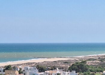 Los vecinos de la Dehesa del Saler denuncian de nuevo vertidos de aguas sin depurar en la Gola de Pujol
