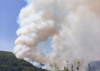 El incendio de la Vall d'Uixó, perimetrado pero no controlado 16 El incendio de la Vall d'Uixó, perimetrado pero no controlado