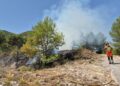 Los bomberos dan por controlado un incendio de vegetación en Ayelo de Malferit tras una rápida intervención 10 Los bomberos dan por controlado un incendio de vegetación en Ayelo de Malferit tras una rápida intervención